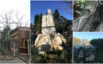 The Trees of Disneyland: The History and Storytelling of the Park's Horticulture