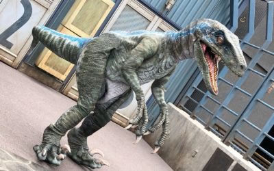 Laughing Place Celebrates Raptor Awareness Day by Asking the Age-Old Question, "Are Dinosaurs Real?"