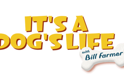 Trailer Debuts for Disney+ Original Series "It's A Dog's Life with Bill Farmer"