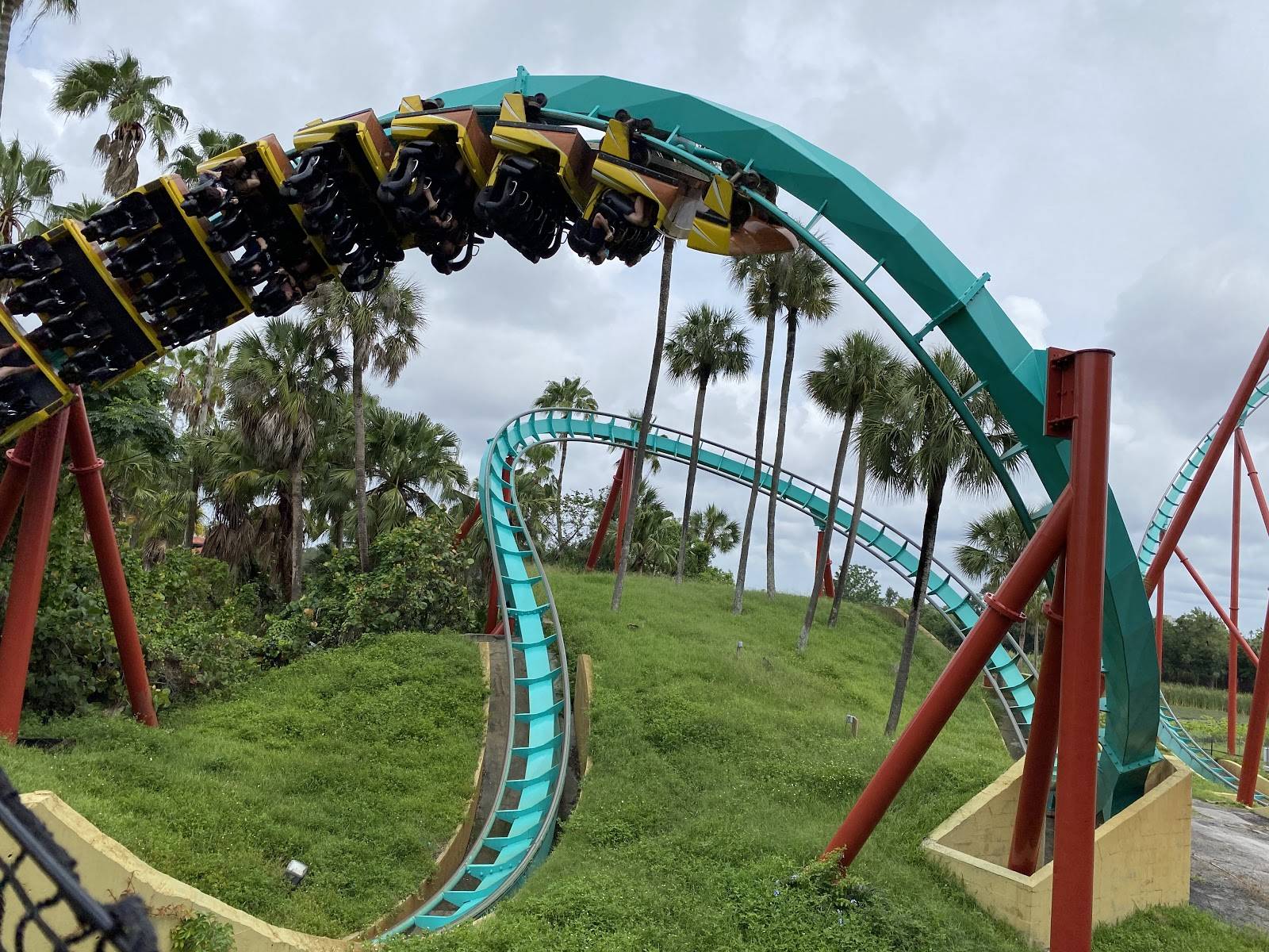 Welcome Back to Busch Gardens: A Look Inside Tampa's Reopened Park ...
