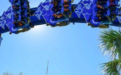 SeaWorld Orlando and Busch Gardens Tampa Bay Parks to Open June 11