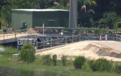 Photo Construction Update: Disney's Grand Floridian Resort Walkway