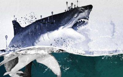 SharkFest Returns to National Geographic, Nat Geo WILD Starting July 19
