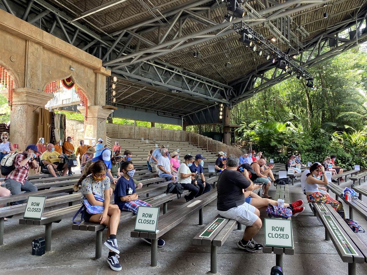 New Bird Show "Feathered Friends in Flight" Premieres at Disney's