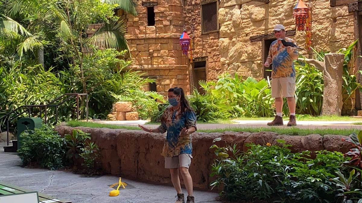 New Bird Show "Feathered Friends in Flight" Premieres at Disney's