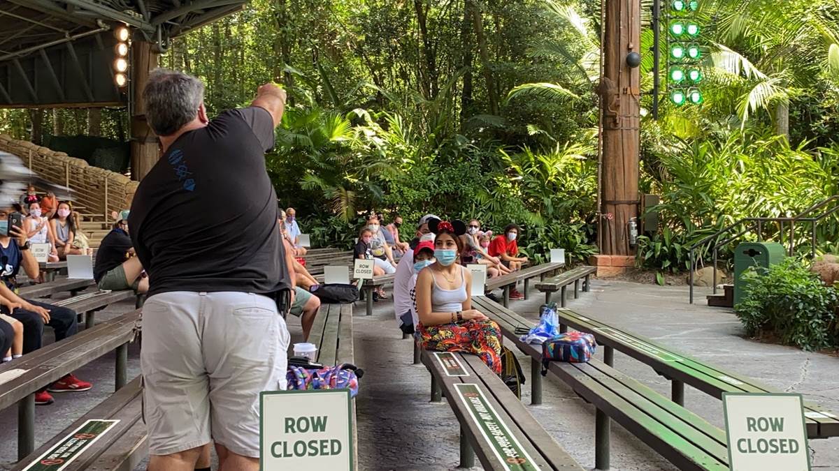 New Bird Show "Feathered Friends in Flight" Premieres at Disney's