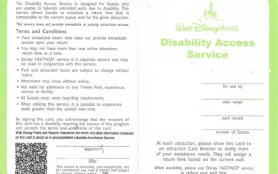 Judge Rules in Favor of Disney in Lawsuit Claiming Violation of Disability Act