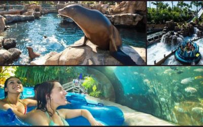 SeaWorld and Aquatica Orlando Now Open Seven Days a Week Through October 5th