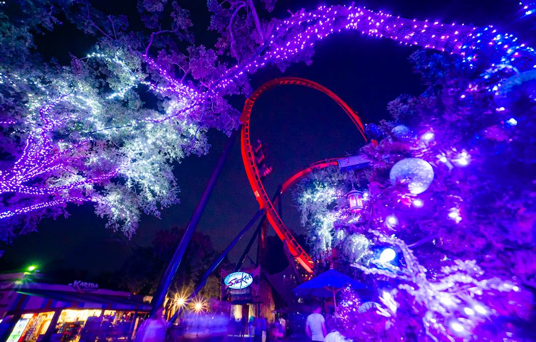 Christmas Town Busch Gardens Tampa 2022 Christmas Town Returns To Busch Gardens Tampa Bay Earlier Than Ever -  Laughingplace.com