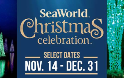 SeaWorld Orlando Announces Black Friday Deals As Christmas Festivities Begin
