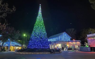 Six Flags Discovery Kingdom's Holiday in the Park Lights! Offers Outdoor Holiday Fun in Northern California