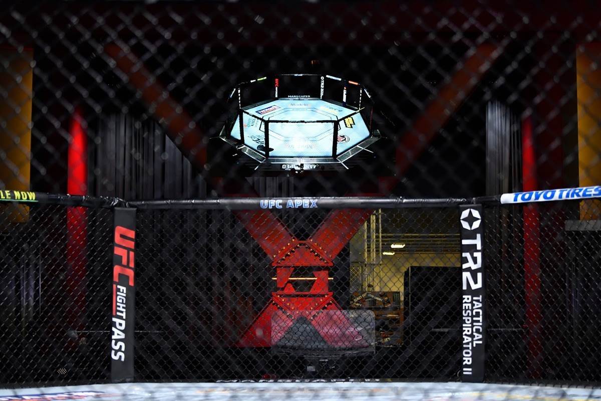 UFC PayPerView Events, Annual Subscriptions on ESPN+ to See Price