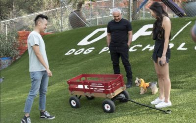 Cesar Millan Returns to National Geographic with 10-Part Series "Cesar's Way" Premiering in August