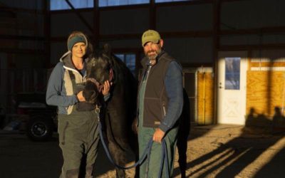 Nat Geo WILD Shares Clips from Upcoming Valentine's Weekend Episode of "Heartland Docs, DVM"