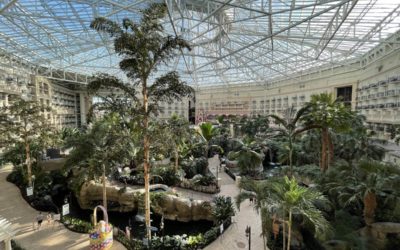 A First Timer's Guide To Gaylord Palms' "Spring It On" Event