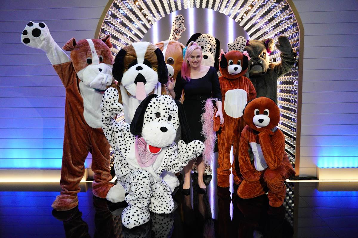 TV Review ABC's "Pooch Perfect" Pits Dog Groomers Against Each Other