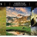 Explore our World with National Geographic 2021 Calendars Featuring Animals and Must Visit Destinations