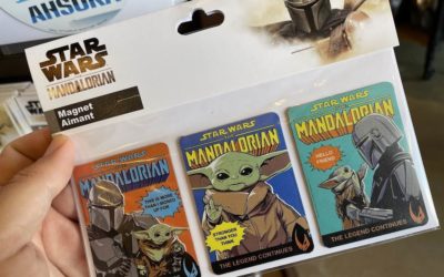 Star Wars "The Mandalorian" and Other Fun Magnets Spotted at Walt Disney World