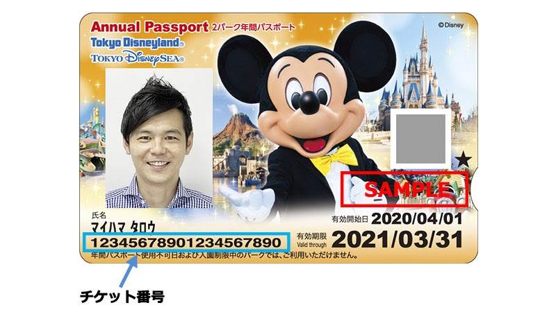Annual Passport