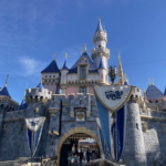 Photos - Disneyland Reopens to Guests