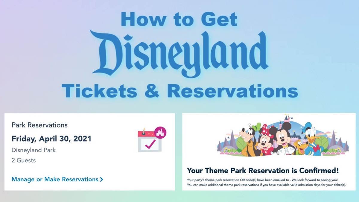 Disneyland Theme Park Reservations