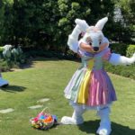 Mr. and Mrs. Easter Bunny Appear at the Magic Kingdom