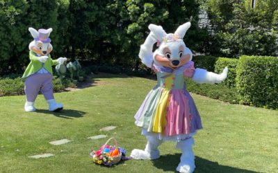 Mr. and Mrs. Easter Bunny Appear at the Magic Kingdom