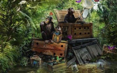 Work Will Begin Soon on the Reimagining of the Jungle Cruise at Magic Kingdom