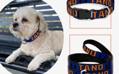 New Buckle-Down Ahsoka Tano Pet Accessories Come to Her Universe