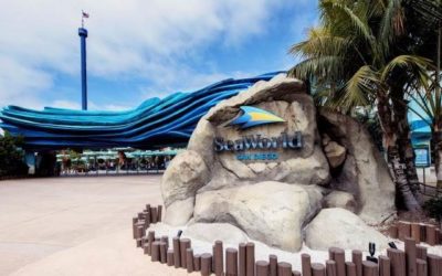 John Dunlap Named Park President of SeaWorld and Aquatica San Diego