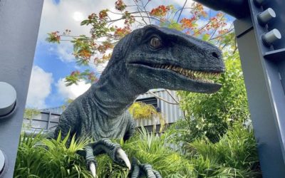 New Velociraptor, Bravo, Debuts At Universal Orlando's Raptor Encounter