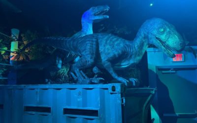 Photos - Take a Tour Through the Jurassic World Tribute Store at Universal Studios Florida