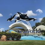 SeaWorld Employees Will Reportedly Be Allowed to Go Mask-Free Starting May 25