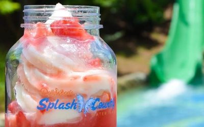 Water Park Dining Pass Returns to Dollywood's Splash Country Water Park