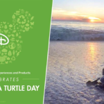 Disney Celebrates World Sea Turtle Day