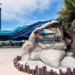Live Blog: SeaWorld San Diego Announcement