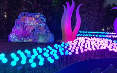 Video/Photos: Electric Ocean Returns to SeaWorld San Diego as the Park Fully Reopens for Summer Season