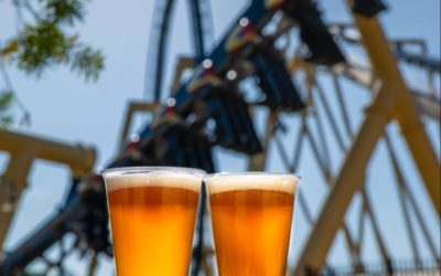 Busch Gardens Tampa Bay Celebrates the Lightning’s Championship With Free Beer Through July