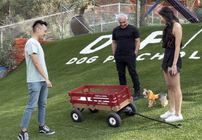Cesar Millan on the Dog Psychology Center lawn in Santa Clarita, CA, with Christine, Jason and Ducky. (National Geographic)