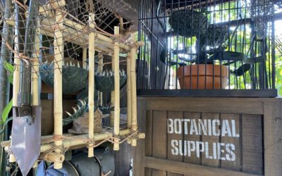 Photos: New Jungle Cruise Characters Introduced as Guests Enter Attraction Queue