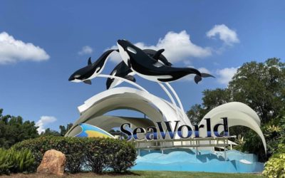 SeaWorld, Busch Gardens Parks No Longer Requiring Reservations