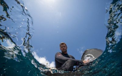 TV Review: "Shark Beach with Chris Hemsworth" Kicks Off National Geographic's SharkFest with Star Power