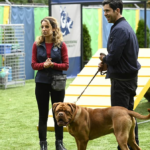 TV Recap: "Turner & Hooch" - Season 1, Episode 1 "Forever and a Dog"