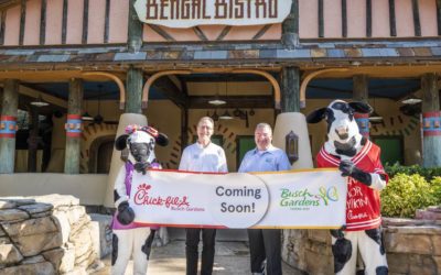 Busch Gardens Tampa Bay to Open Florida's First Theme Park Chick-Fil-A Location