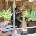 Jungle Cruise Continues to Change at Walt Disney World