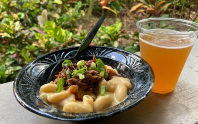 SeaWorld Orlando's Craft Beer Festival  Highlights Local Breweries and Great Food