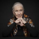 The Walt Disney Family Museum Will Host a Virtual Event Featuring Dr. Jane Goodall