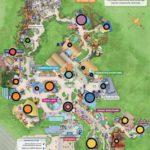 WDW 50 - The Ideal Disney's Hollywood Studios Attraction Lineup