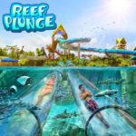 Aquatica Orlando Splashes into 2022 With New Reef Plunge Water Slide Opening This Spring