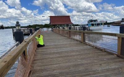 Boat Dock At Disney's Polynesian Village Resort Receives Enhancements